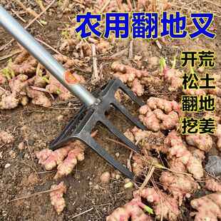ţ���ӌ��_̤�r��һ�w����䓲��z�����غ�呴�䓲����X���ط��ز�
