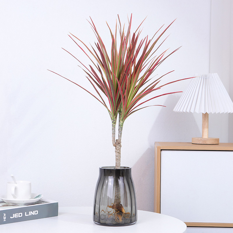 21- 30cm 높이【1그루】