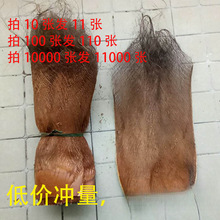棕树皮棕衣棕毛棕榈衣棕丝棕片棕皮装饰绿萝棒椰棕棒茅屋用
