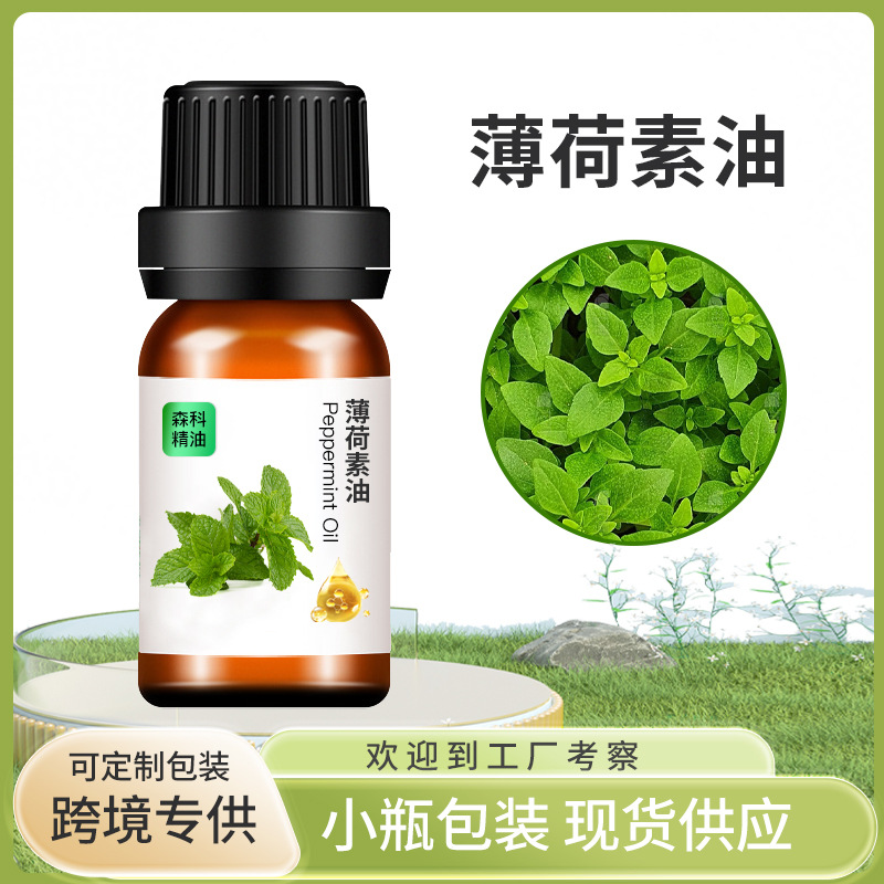 厂家直供 提神醒脑驱蚊薄荷精油 沐浴按摩精油 植物薄荷单方精油