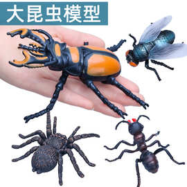 仿真昆虫玩具模型大号蜘蛛苍蝇锹甲螳螂蜜蜂儿童科教认知礼物