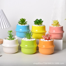 陶瓷盆创意可爱马卡龙多肉绿植盆栽蝴蝶兰花盆阳台家居桌面装饰盆