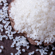 25年新米东北大米10斤大米5kg一袋圆粒珍珠米十斤粳米现磨现发