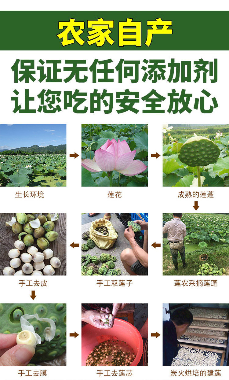 Jianning White Lotus Seeds 2025 Hand Peeled Dried Lotus Seed 500g No Sulfur for Soup and Congee in use
