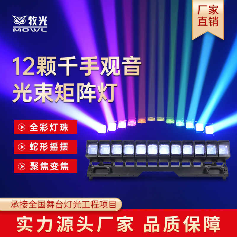 12 LEDs mil manos Guanyin cabeza sacuda lámpara de haz de luz matriz bar festival de música sala de transmisión directa luz de atmósfera luz de escenario