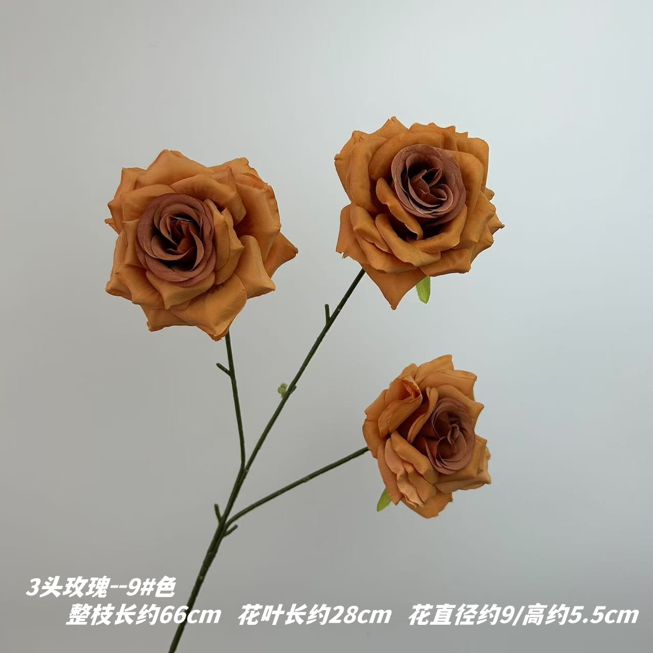 9 # 색상