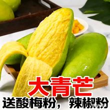 越南大青芒金煌芒生熟两食芒果酸野腌制芒新鲜孕妇开胃水果甜心芒