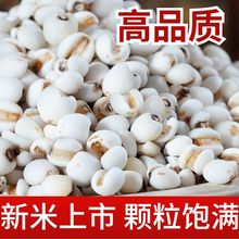 ޲������؛�r�����rȥ����޲�����޲�����s�Z�Ǽt���ඹ�����L�r