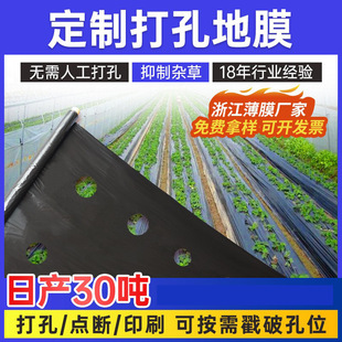 Black Perforated Mulch Film for Fruit Tree Insulation, Vegetable Farming, Agricultural Polyethylene Reflective Degradable Film, Plastic Agricultural Wholesale