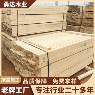 ľ�����ɻ��������l��ľľ�l��ľľ����ľ��Ƭľ�l��ľľ����