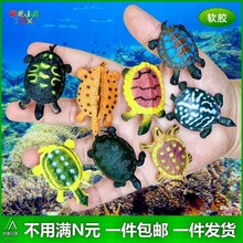 软胶仿真超小乌龟迷你假海龟幼儿园儿童玩具认知海洋静态动物模型