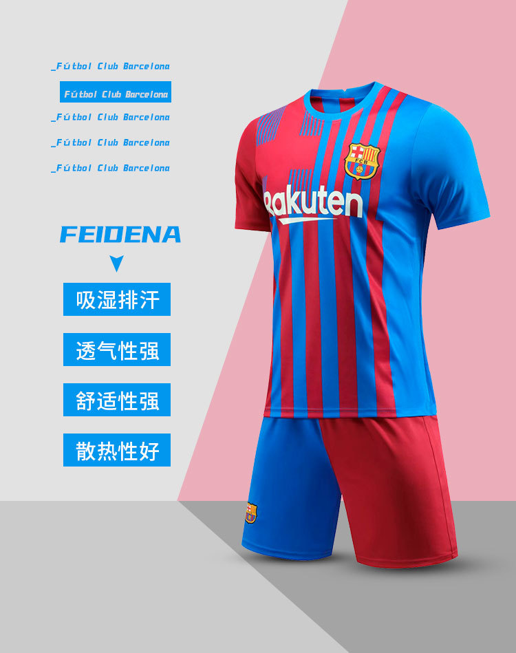 22带队徽(飞德纳)_02