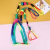 Dog pet traction Cat traction band colorful pet chest straps round rainbow color cat rope dog chain