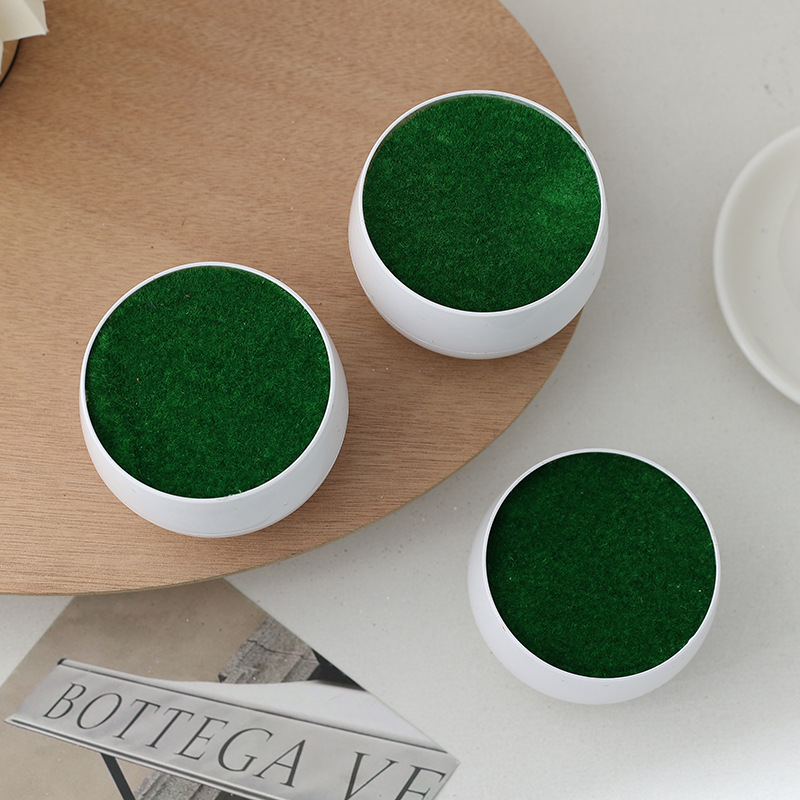 Set semplice di piante grasse verdi, decorazione versatile per la casa, adatto sia per uso interno che esterno_voghion.com