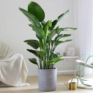 �W�t�����B�����҃ȴ���ֲ���Q���m�͏d�k���Ҵ����ԾGֲ�����B��