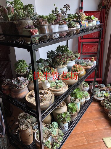 Wholesale Tieniu multi-layer movable succulent flower stand with wheels for balcony sun room living room floor-standing flower pot shelf rainproof