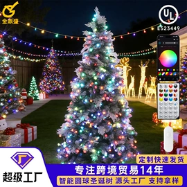 LED装饰灯;室外LED;室内LED