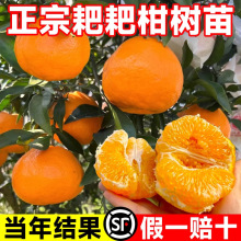��Ҋ�̽��� ���θ̽����� ���Ә��� �޽Ӹ̽��� ɳ�ǽ��̸ָ�����