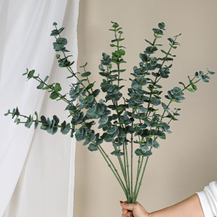 ����С֦Ӣ���ȼ����~���W�Ҿ��b�ƿ�ȼ����~�ӏS��ֱ�N����