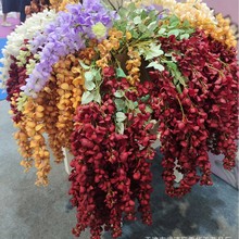 6�^�����յ�픻� ���滨���ٻ�������c��Y���b� �ٻ����l�S��