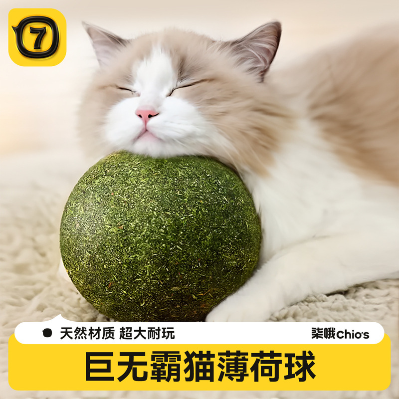 Super large 10cm catnip ball self-hi molars catnip toy mint ball wholesale insect gall fruit ball Super large 10cm catnip ball self-hi molars catnip toy mint ball wholesale insect gall fruit ball