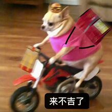 —实拍 几何logo刺绣双面提花羊毛羊绒流苏棋盘格围巾 #102303