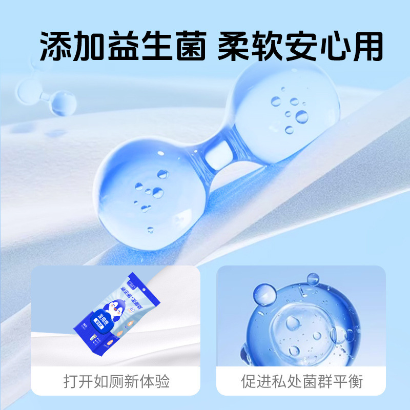 ウェットトイレットペーパータオル壁掛けファミリーお手頃価格のお尻拭きトイレウェットティッシュ女性専用吊り下げウェットトイレットペーパー|undefined