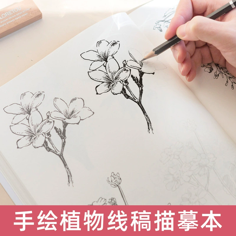 Линия чертежа наброски линейный штрих контроль ручка тренинг копировальный альбом материал рисунок карандаш шприц ручка