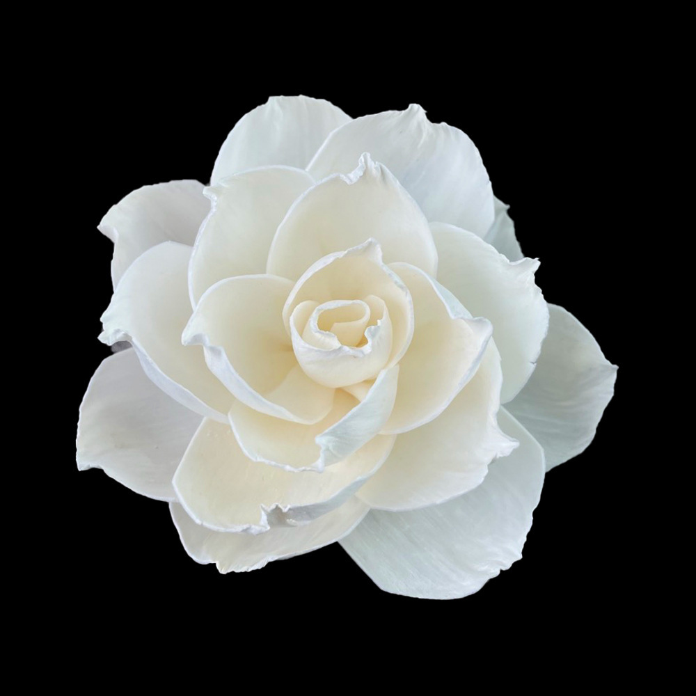 Aromatherapy, blue fresh diffuser contains rose