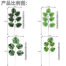 �S�����l���������~���R�d�Ҿ��b�ֲ��������������