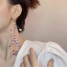 欧美风复古水晶串珠流苏耳挂耳环个性时尚网红耳饰女轻奢时尚百搭