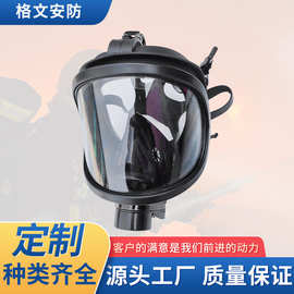 自吸过滤式防毒面具消防工业喷漆专用防毒口罩SF6防毒面具全面罩