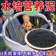 ��ɏˮ������ɏ�߷�������˯ɏˮ��ֲ���쾰�I�B��ˮ��ˮ�~��һ��