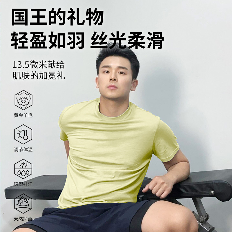 Gray Shell 13.5μm Naked Merino Wool Quick-Drying T-Shirt Men's Outdoor Hiking and Mountaineering Fitness Sports Short-Sleeved