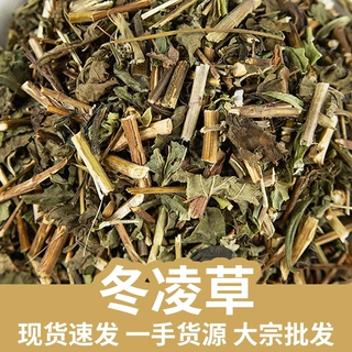 冬凌草  冰凌草 山香草 雪花草 大量批发 厂家直供
