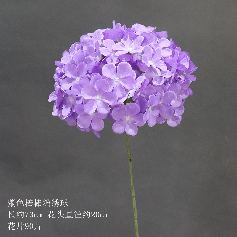 보라색 롤리팝 수국