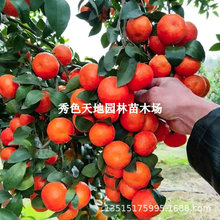�o��ɰ���٘���޽��������ͥԺ�������Խ��Ә�������箔��Y��