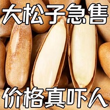 ���b�ք����������°�����5g���w����ʳ�Թ���Ş��ԭζС���b����