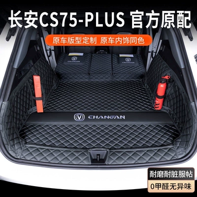 Full coverage trunk — Trunk Mat