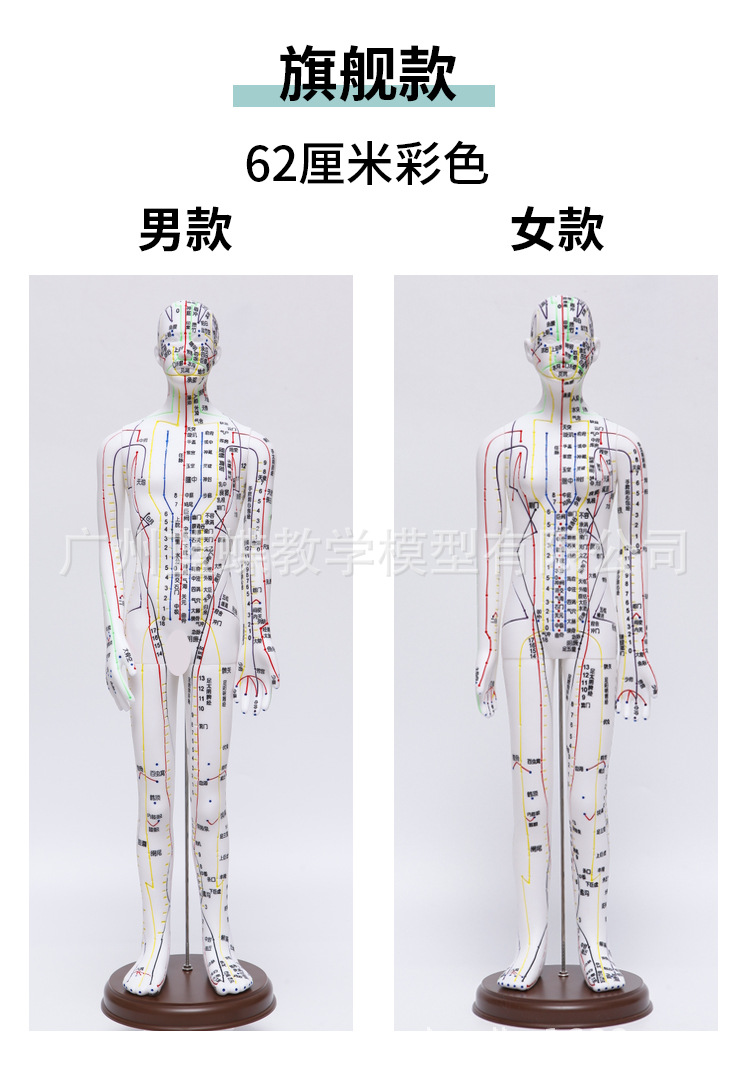 5262cm针灸人_10