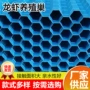人工养殖塑料水蛭黄鳝