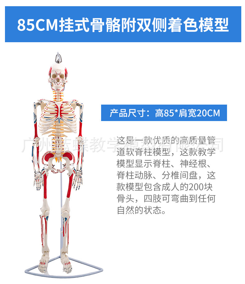 详情_18