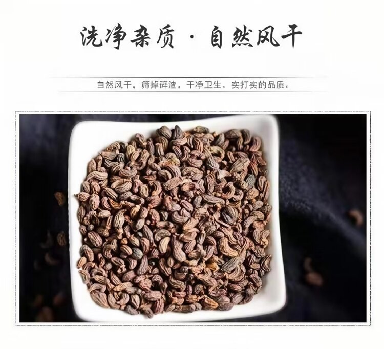 Nü Zhēn Zǐ (Ligustrum lucidum) — Dried Glossy Privet Fruit for Tea, Wine & Pillow preparation