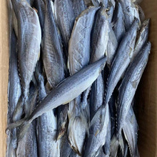 rȥ^E~ɰ~Ro~o^~rlС~ɸ؛l