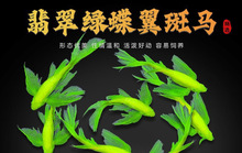 �������R�~�Lβ�L�������G�^�p�~���P��ˮС�͵�ˮ���BС���~