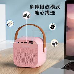 Microphone-in-one speaker system, Bluetooth speaker, karaoke microphone, integrated audio system, home set