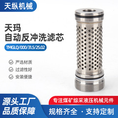 天玛反冲洗滤芯TMGLQ(100031.525).02不锈钢滤芯烧结过滤网除油杂