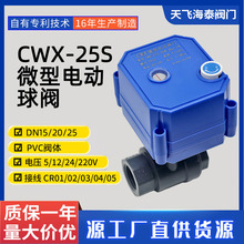 CWX-25S微型电动球阀PVC塑料阀体水处理小型电动球阀手自一体阀门