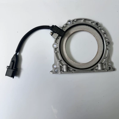 Leisite – Oil seal Oil Seal