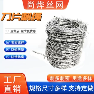 刀片刺绳高铁监狱防爬防盗刀片铁丝网刀片刺绳防护网带刺铁丝网